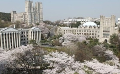 庆熙大学