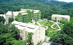 延世大学